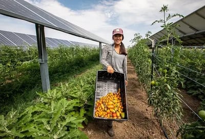 5cba18_021ee8d46b474e0a98febb3db3510387mv2-600x407