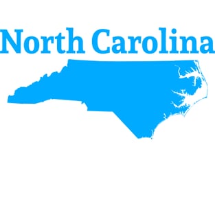 North Carolina Solar + Storage Engineering Firm | C&I And Utility-Scale Projects