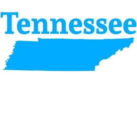 Tennessee Solar + Storage Engineering Firm | C&I And Utility-Scale Projects 2